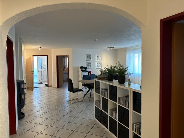 1.5 Zimmer-Wohnung (160m2) mit Terrasse und günstigem PP 2