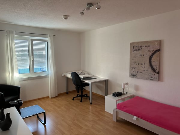 1.5 Zimmer-Wohnung (160m2) mit Terrasse und günstigem PP 5