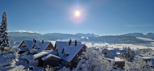 Residenz im traditionellen Appenzeller Holzbaustil 3