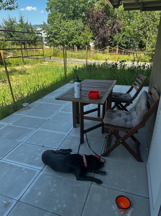 Nachmieter gesucht: 1.5 Zimmer Wohnung in Deitingen 4