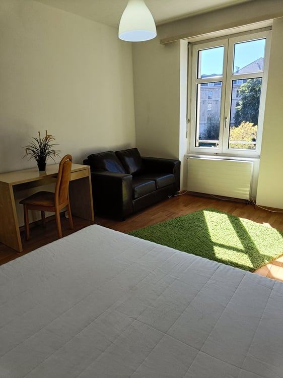 Sehr grosses neues möbliertes WG-Zimmer ab sofort