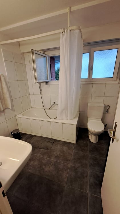 Attika-Traumwohnung mit Panoramasicht über den Bodensee 4