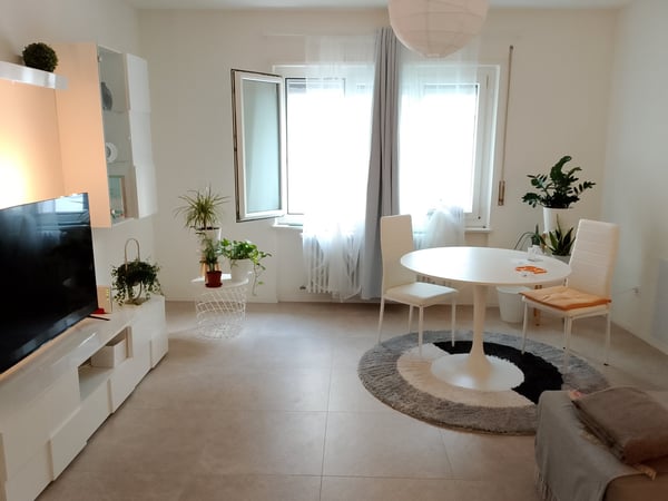 Cercasi subentrante per appartamento 1.5 locali con clima 1