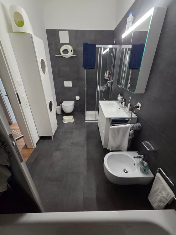 1.5 locali ponte capriasca 2