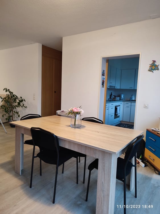 Balerna, vendo 1.5 locali di reddito 1