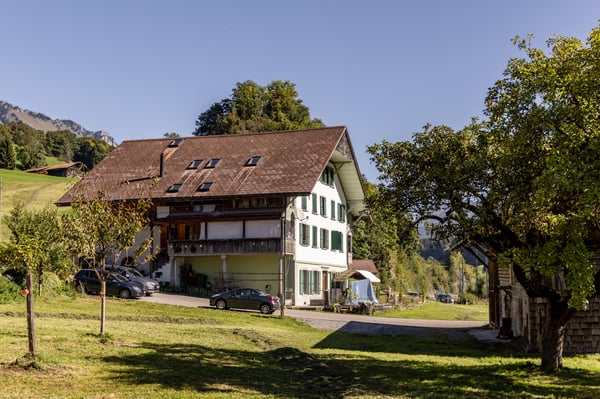 3-Familienhaus mit Scheune 2