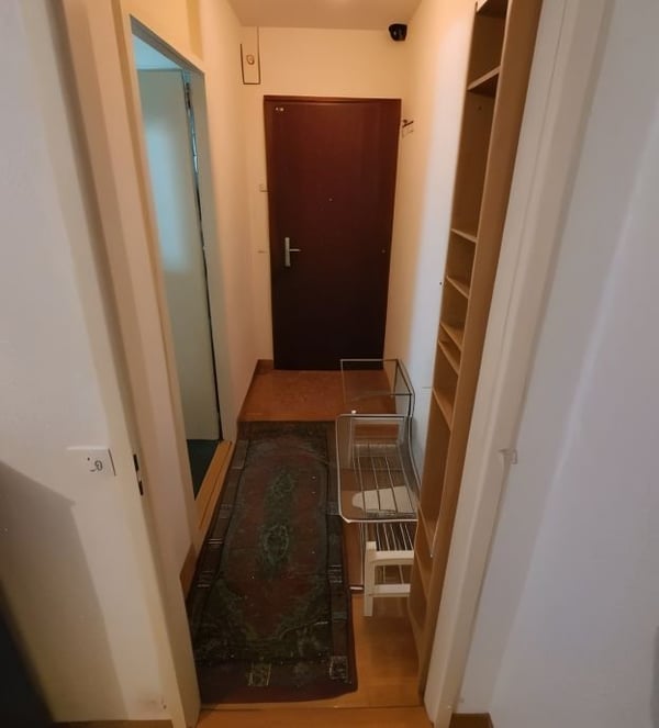 Beautiful Furnished Flat (2.5 rooms, ~7 m²) - Geneva center 1