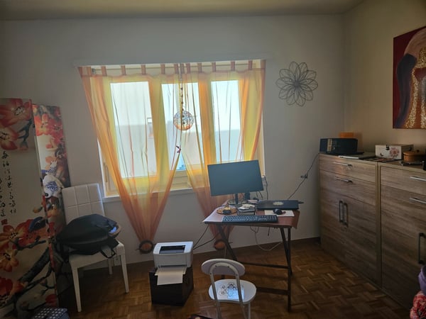 Barbengo cerco subentrante per bellissimo appartamento 1