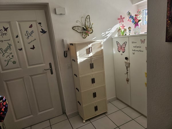 Barbengo cerco subentrante per bellissimo appartamento 2