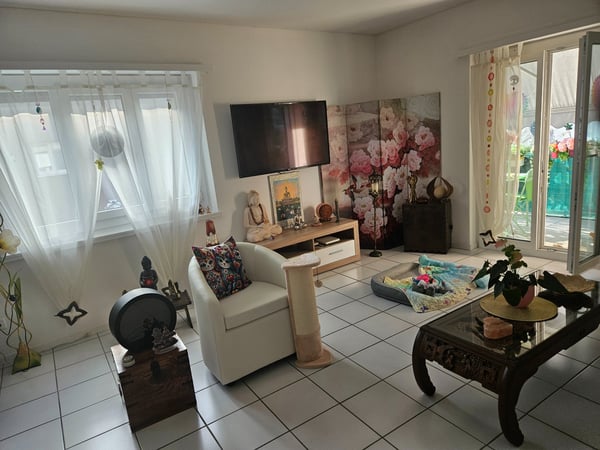 Barbengo cerco subentrante per bellissimo appartamento 4