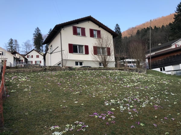 Vermiete Zimmer Monteurszimmer 1