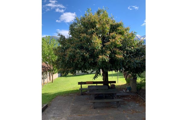 Casa tipica ticinese in regalo, paghi terreno edificabile 5