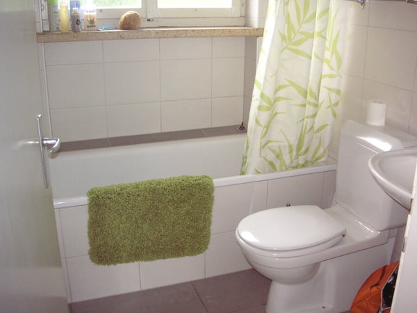 1 1/2 Zimmer Wohnung in 2-Familien-Haus im Grünen 4