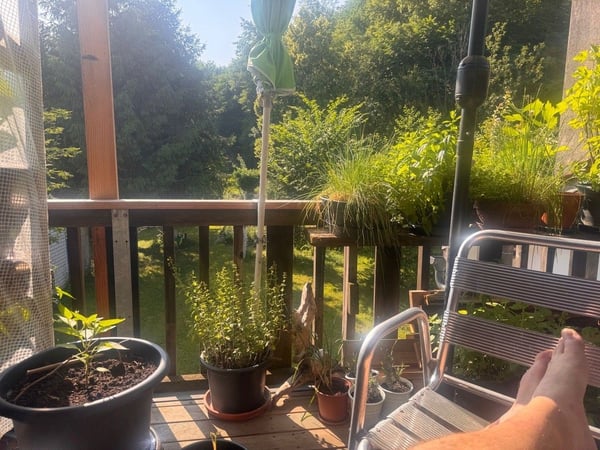 Gemütliche Wohnung im beschaulichen Hani/Reutigen 5