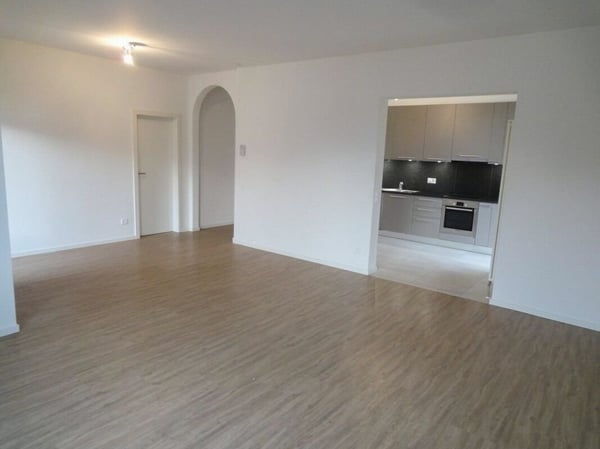 Cerco subentrante per il 1 marzo 2026 1