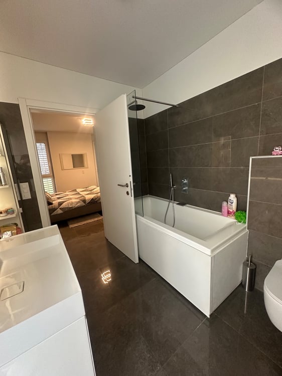 Cerco subentrante per appartamento 1.5 a Bellinzona 5