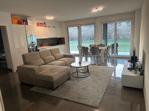 Cerco subentrante per appartamento 1.5 a Bellinzona 1