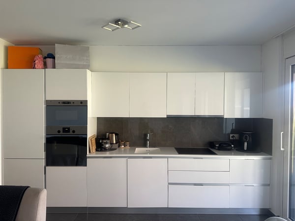 Cerco subentrante per appartamento 1.5 a Bellinzona 2