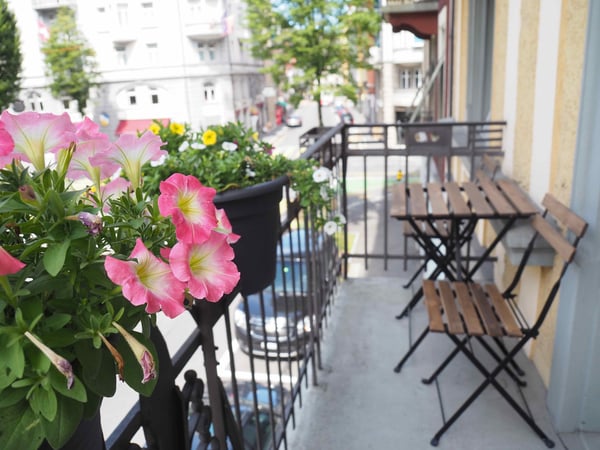 Charmante Mietwohnung top Lage 5