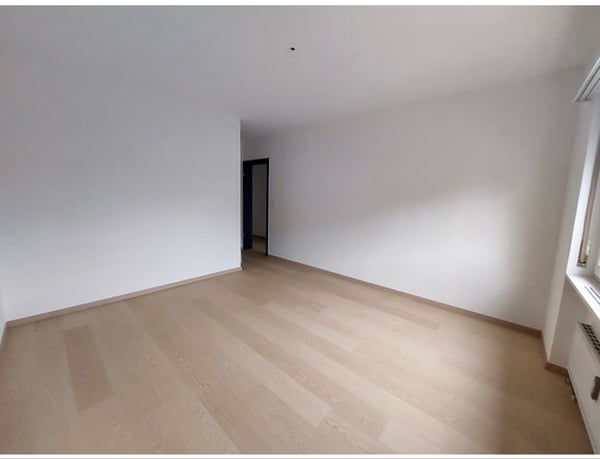 Cercasi subentrante spazioso 1.5 Giubiasco 4