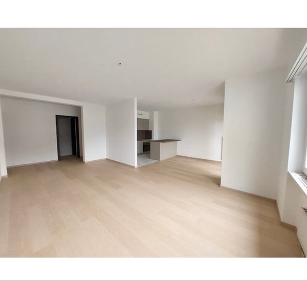 Cercasi subentrante spazioso 1.5 Giubiasco 2