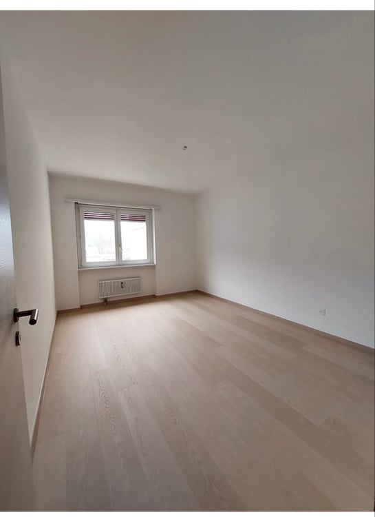 Cercasi subentrante spazioso 1.5 Giubiasco 1