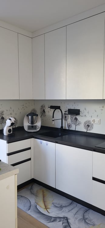 Affittasi casa a schiera contigua a Massagno 1