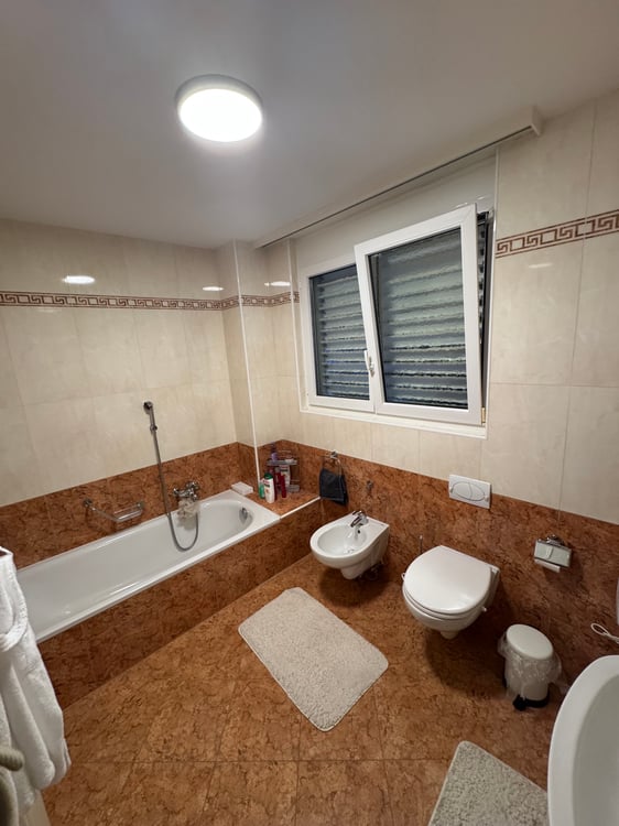 Cercasi subentrante appartamento 1.5 locali a Locarno 4