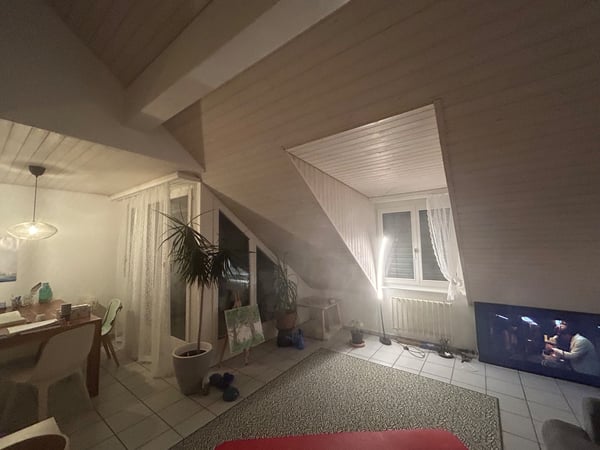 Schöne 1.5 Dachwohnung, sehr Ruhig und Gemütlich 3