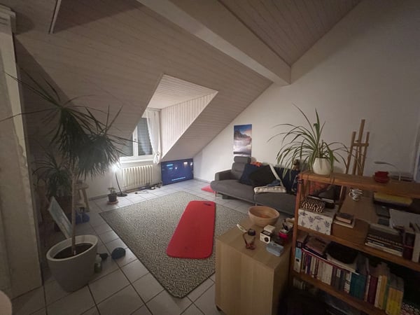 Schöne 1.5 Dachwohnung, sehr Ruhig und Gemütlich 2