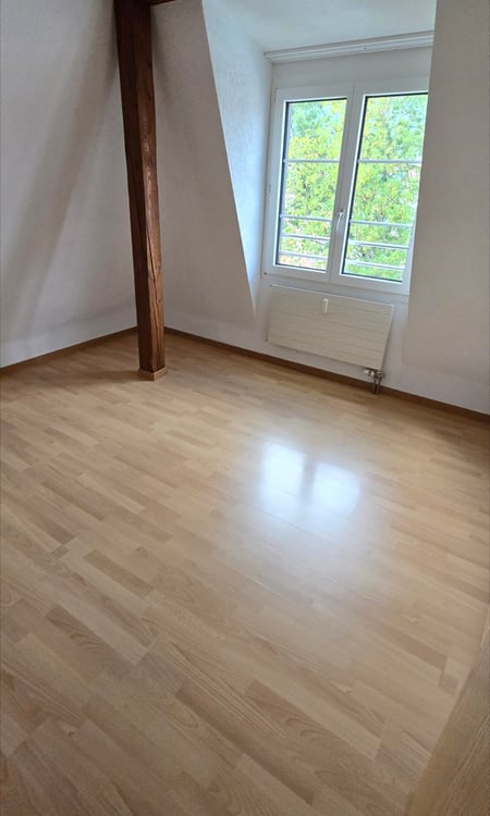 1 Zimmerwohnung im Zentrum Biel 3