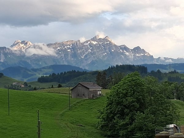 WG Zimmer mit Garten und Ausblick 2