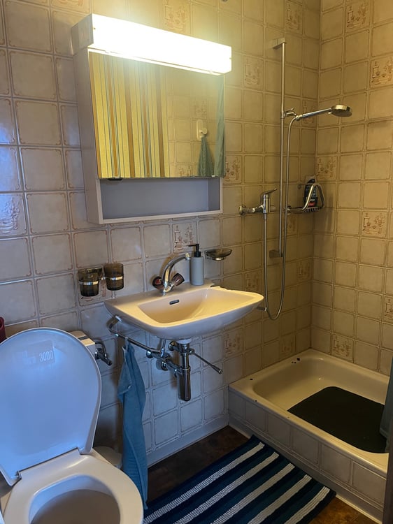 Kleine, ruhige 1.5 Zi-Wohnung mit traumhafter Seesicht 5