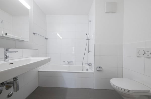 Helle 1.5 Zi-Wohnung in Dornach im Apfelsee 3