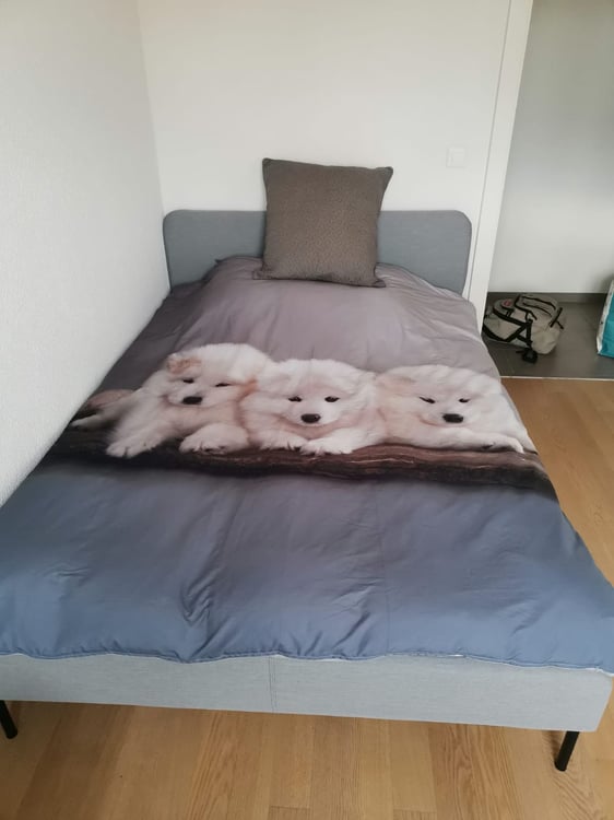 Au centre Nyon, jolie chambre dans logement en colocation 4