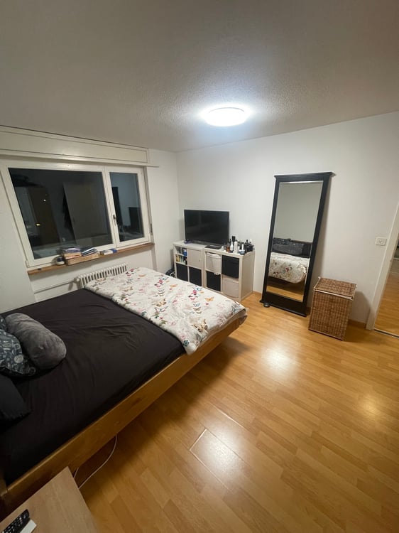 Helle und gemütliche Wohnung zur Miete 5