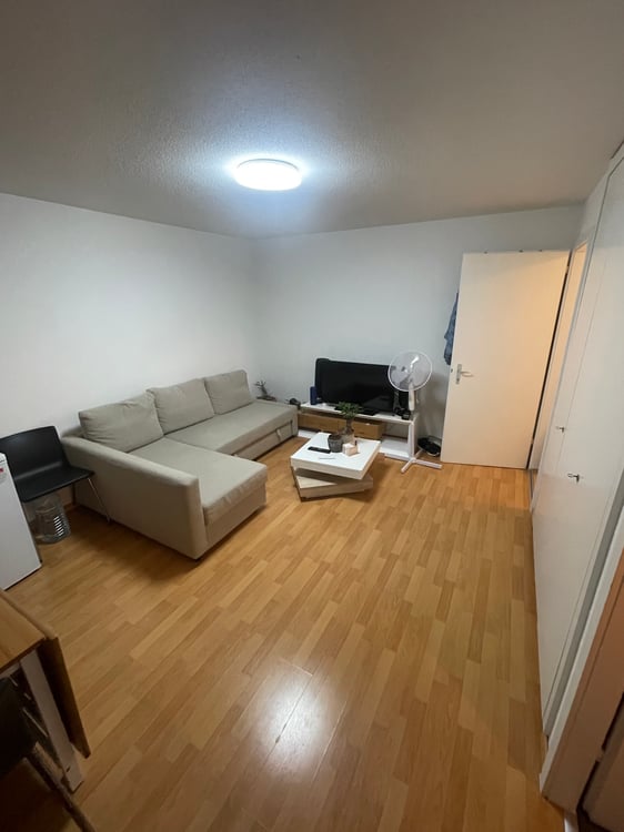 Helle und gemütliche Wohnung zur Miete 1