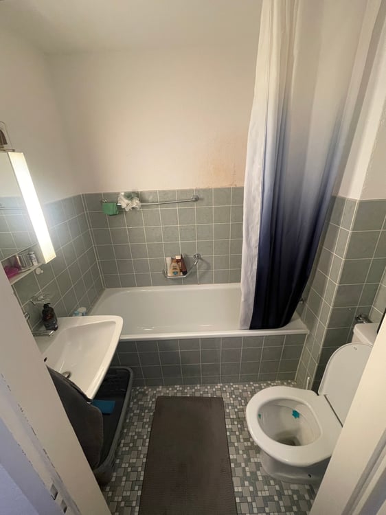 Helle und gemütliche Wohnung zur Miete 4