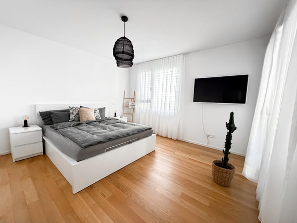 Appartamento 1.5 locali 3