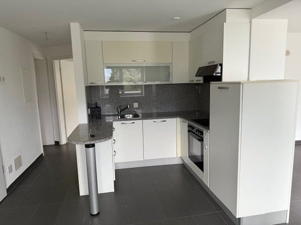 Affittasi in piccola e soleggiata palazzina a Bellinzona 2