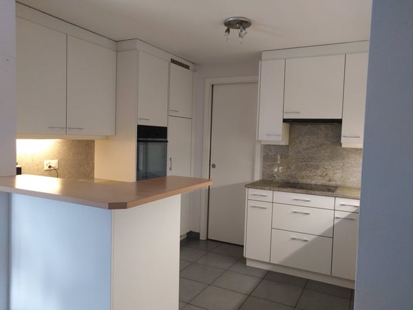 Pregassona/Lugano - Soleggiato appartamento con giardino 4