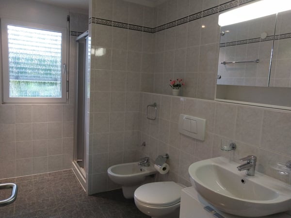 Pregassona/Lugano - Soleggiato appartamento con giardino 3