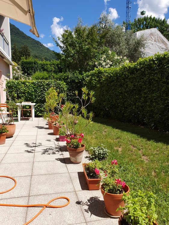 Pregassona/Lugano - Soleggiato appartamento con giardino 5