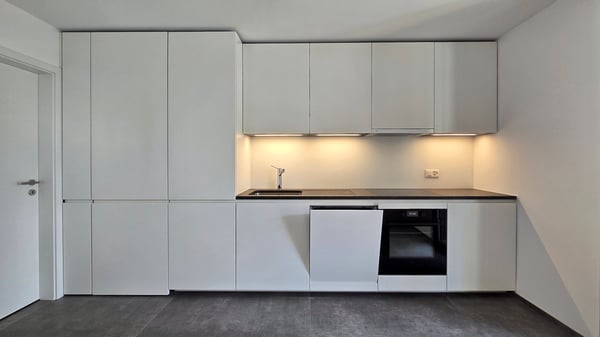 Appartamento 2.5 locali - prima locazione 1