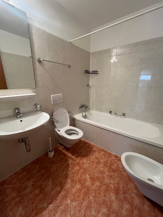 Appartamento Paradiso 1.5 locali 4