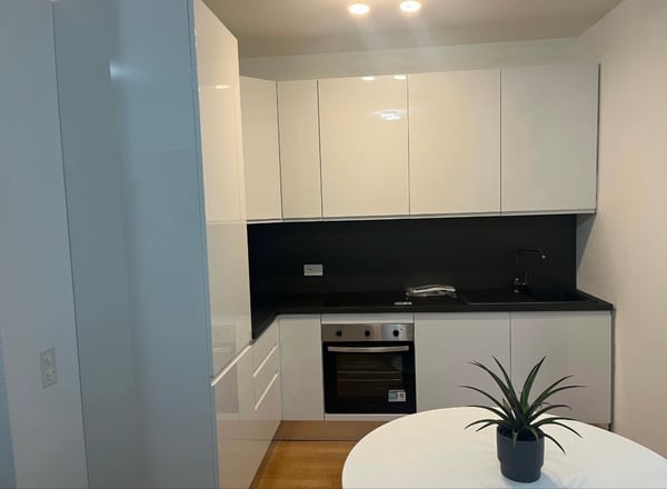 Appartamento Paradiso 1.5 locali 3