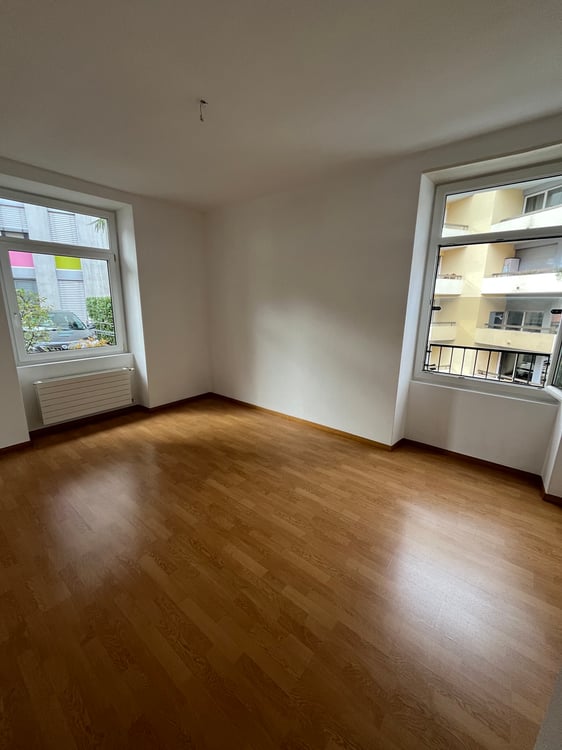 Appartamento Paradiso 1.5 locali 2