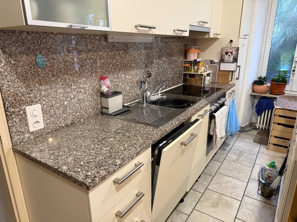 Appartamento al pian terreno con 1.5 locali a Magliaso 3