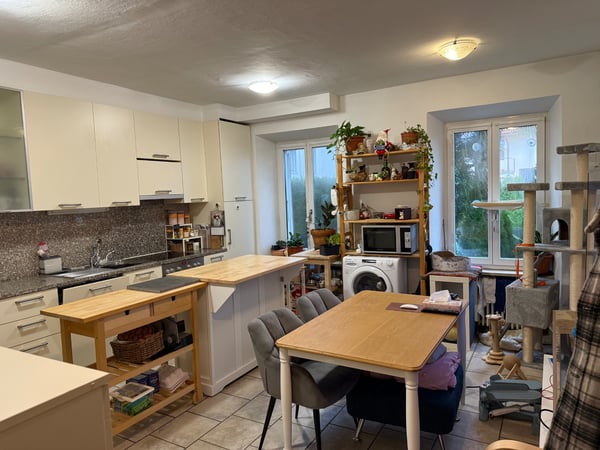 Appartamento al pian terreno con 1.5 locali a Magliaso 2