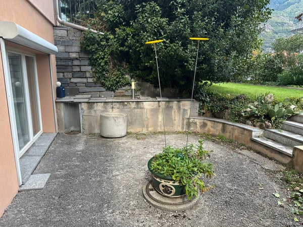 Attraente appartamento con giardino di 1.5 locali in affitto 10